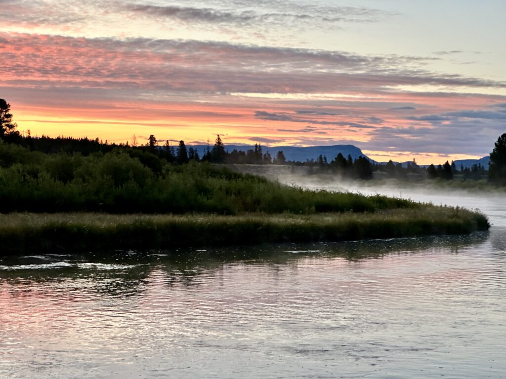 Overlooking Baker's Hole as the sun rises and the Madison River wakes up.