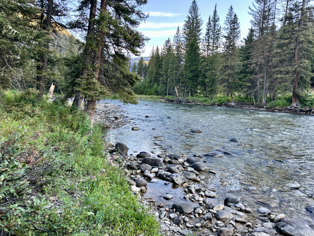 A look at the Gallatin River behind my camping spot at Red Cliff Campground.