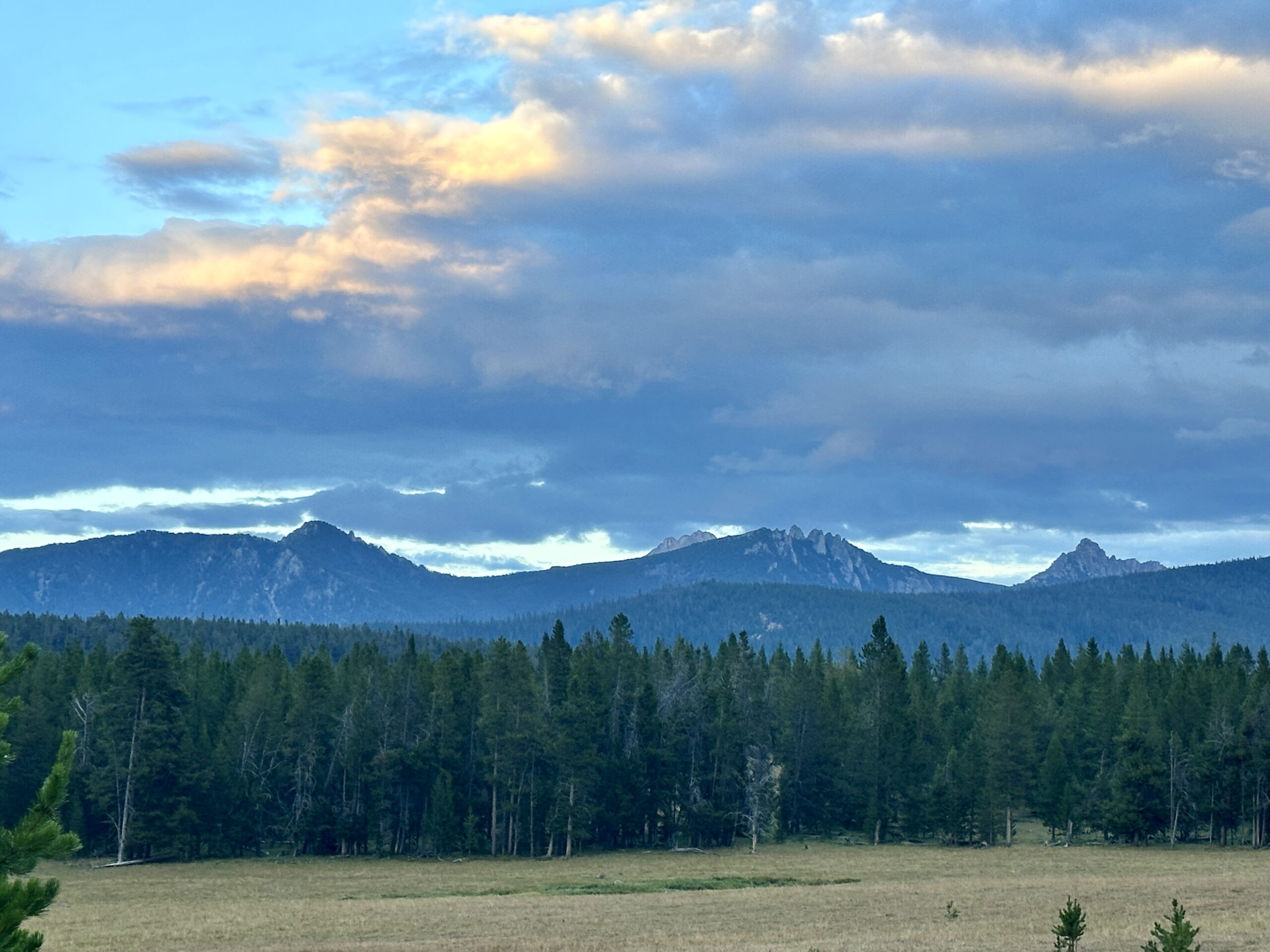 Protected: Mirroring – Gold & Greed – Clue?