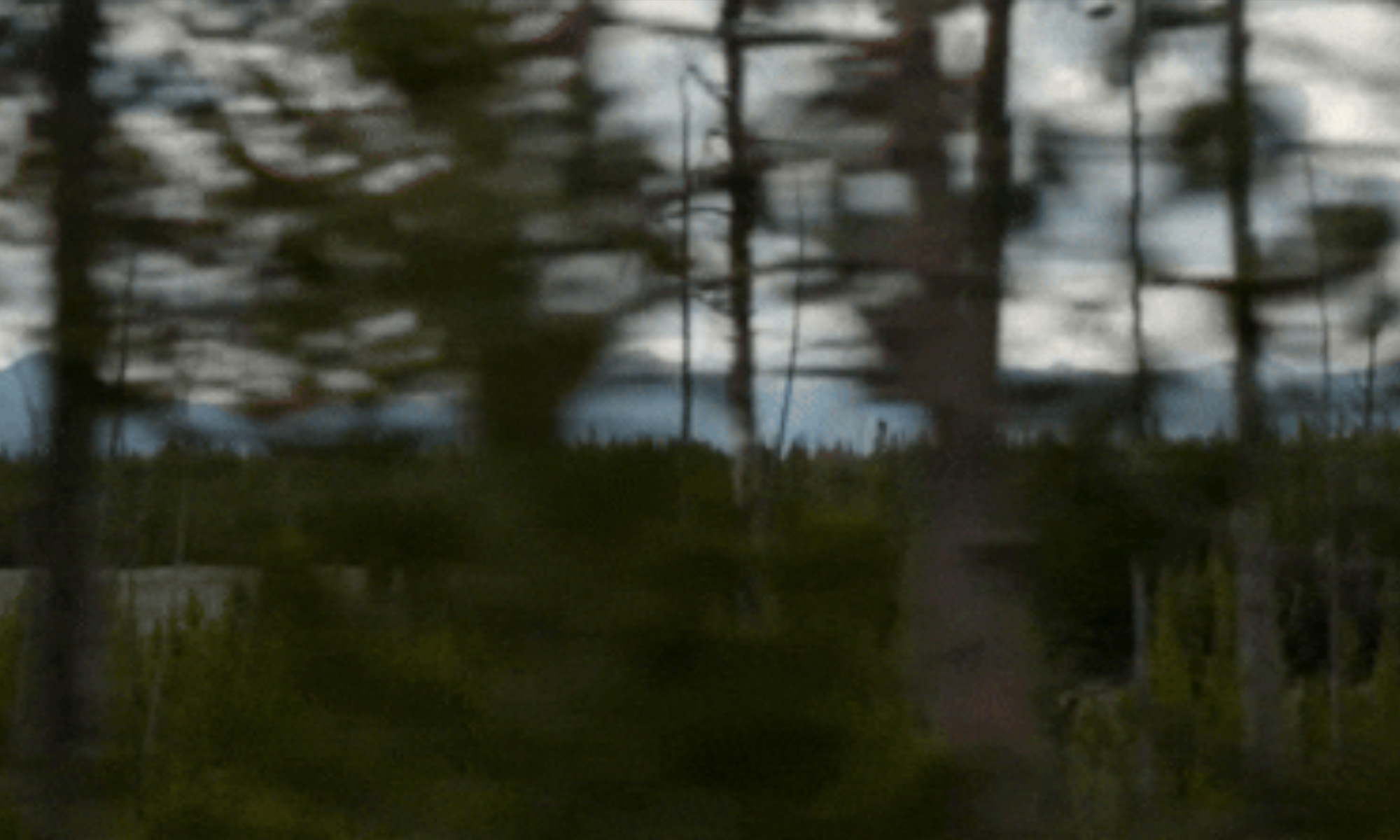 Mirroring – Gold & Greed – Clue?